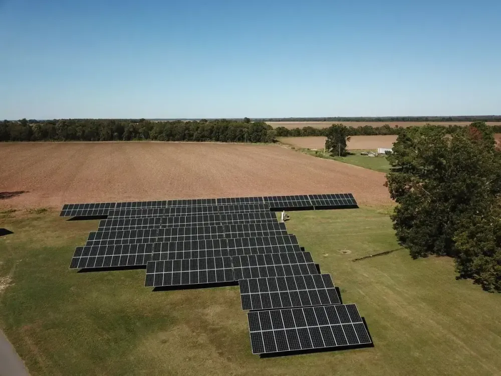 Solar Energy Is Changing the Face of Local Poultry Production